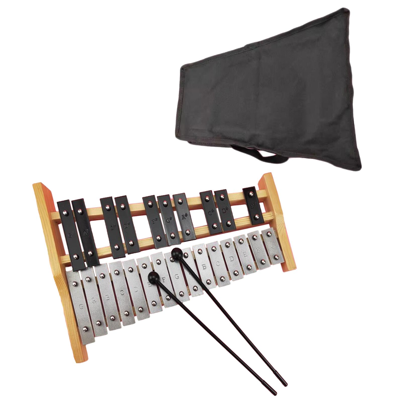 Kids Toys Xylophone - 25 Scales Xylophone Drumsticks and Carry