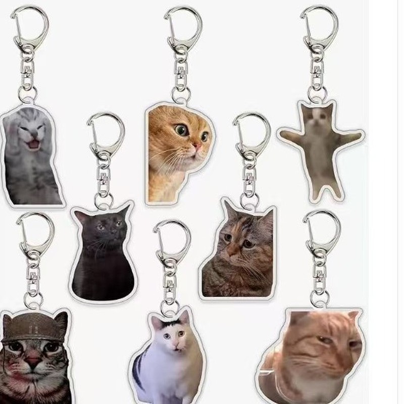 Kids Toys Low Price - Cute Funny meme Cat Memes Series