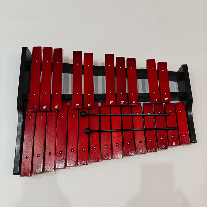 Portable Xylophone 25 Tones Wo - Kids Toys Xylophone recensione e prezzo