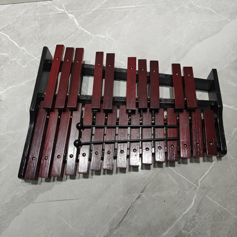 Portable Xylophone 25 Tones Wo - Kids Toys Xylophone recensione e prezzo