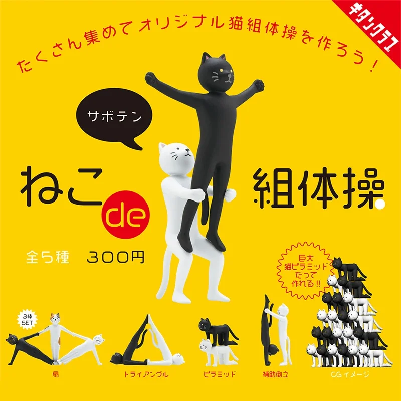 Funny Cats Doing Yoga Gymnasti - Kids Yoga Toys recensione e prezzo