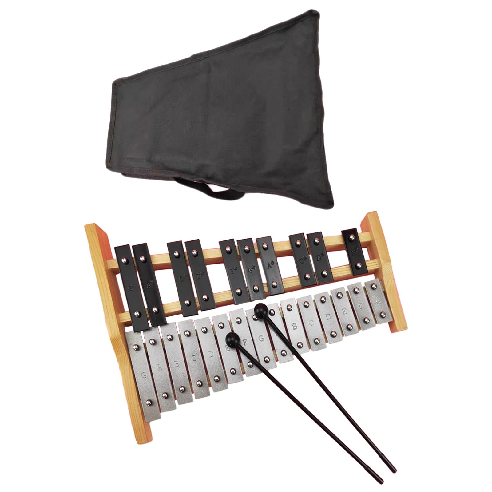 25 Scales Xylophone Drumsticks - Kids Toys Xylophone recensione e prezzo