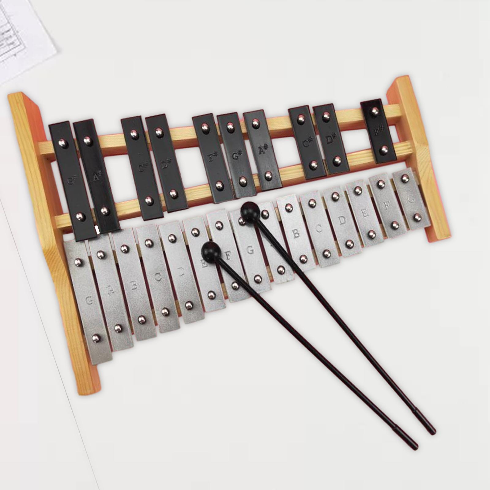 25 Scales Xylophone Drumsticks - Kids Toys Xylophone recensione e prezzo