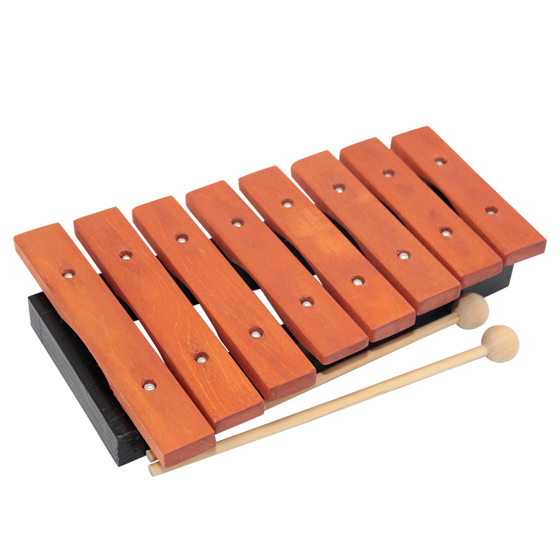 8 Note Xylophone Children Prof - Kids Toys Xylophone recensione e prezzo