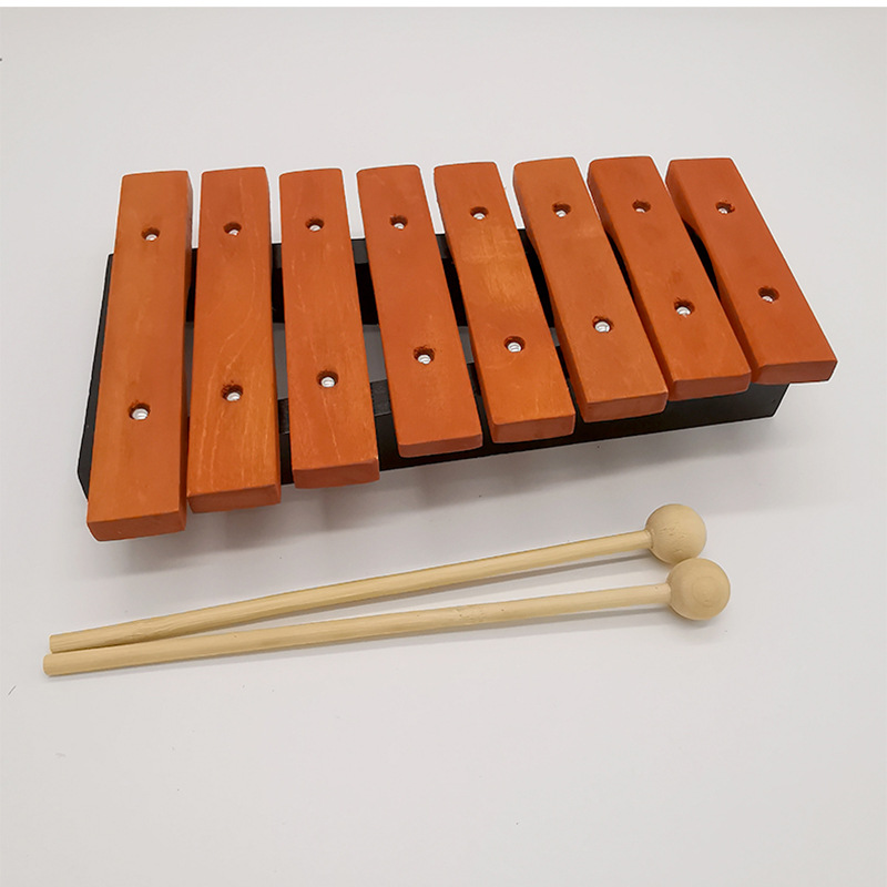 8 Note Xylophone Children Prof - Kids Toys Xylophone recensione e prezzo