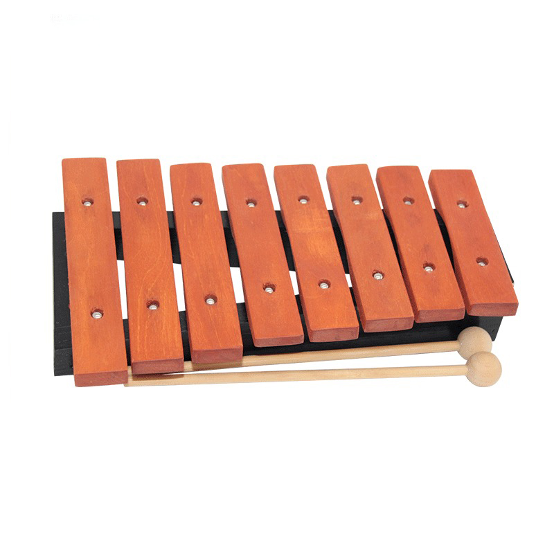 8 Note Xylophone Children Prof - Kids Toys Xylophone recensione e prezzo