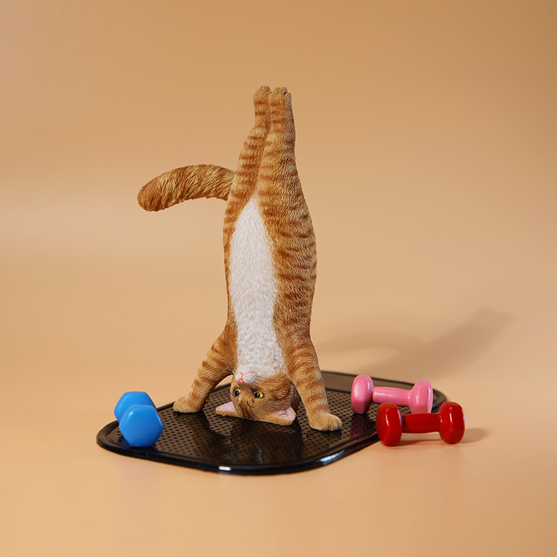 1/6 Scale Mini Simulated Fitne - Kids Yoga Toys recensione e prezzo