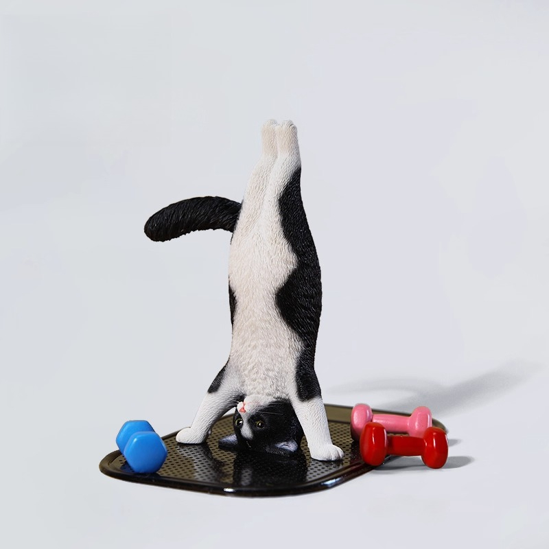 1/6 Scale Mini Simulated Fitne - Kids Yoga Toys recensione e prezzo