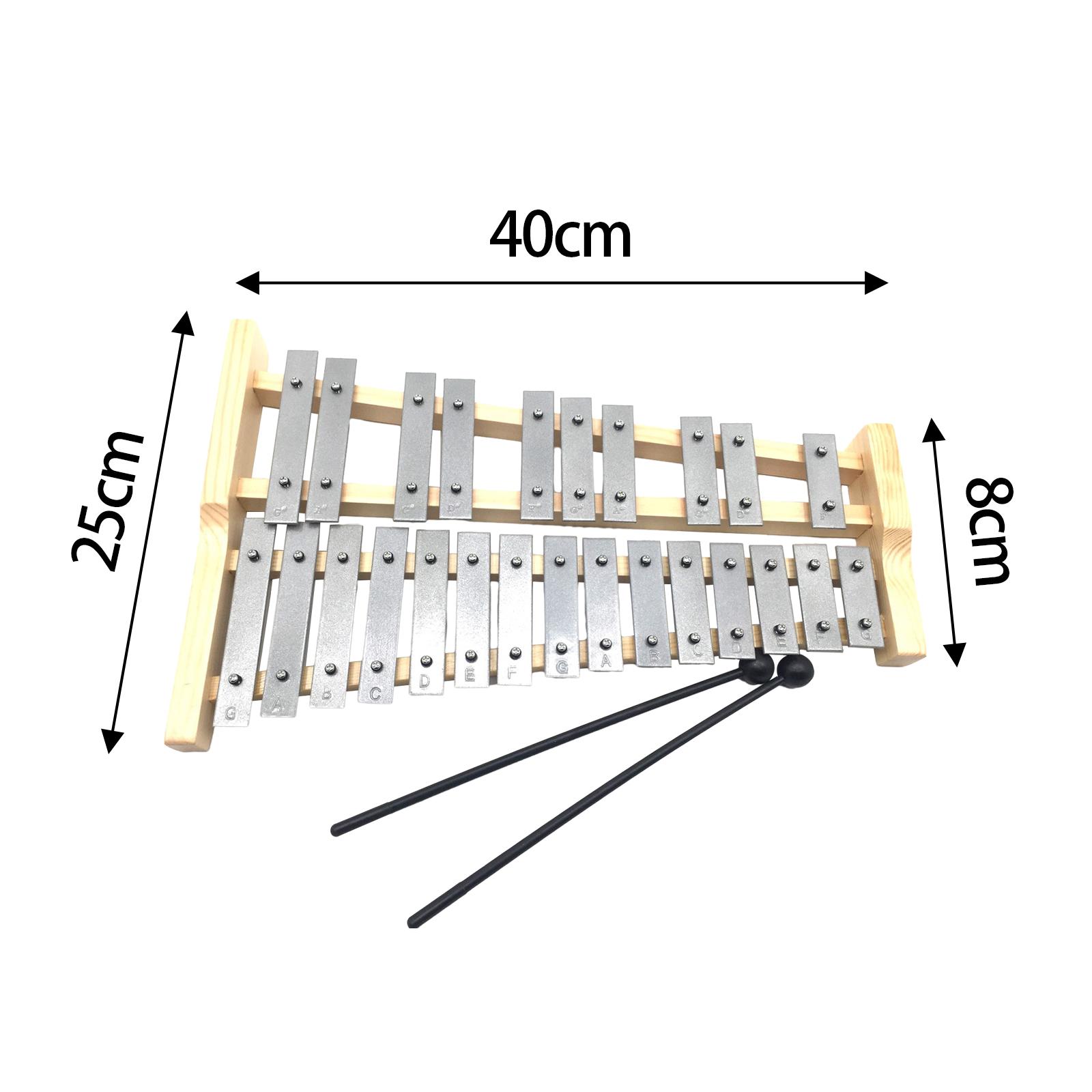 25 Notes Metal Keys Xylophone  - Kids Toys Xylophone recensione e prezzo