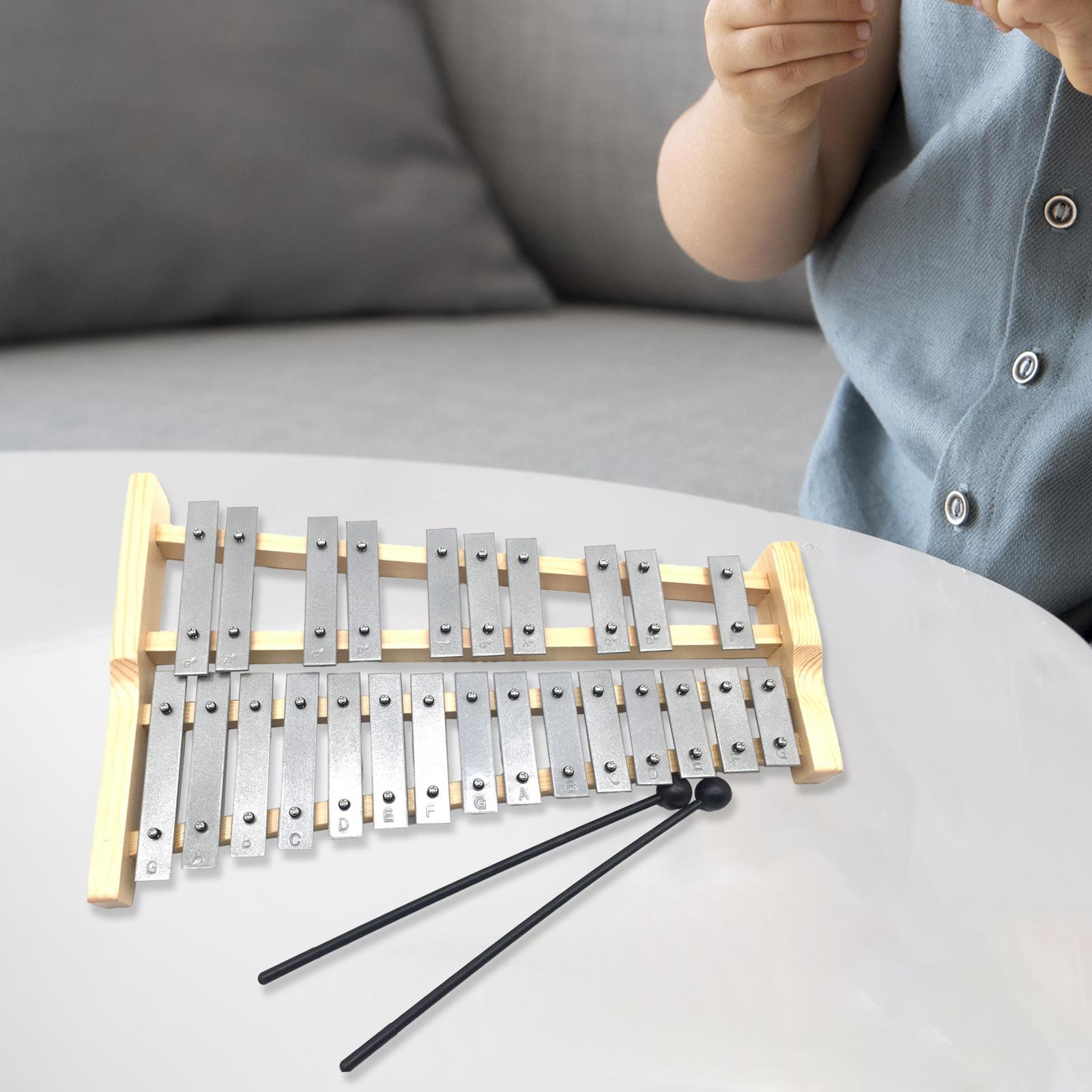 25 Notes Metal Keys Xylophone  - Kids Toys Xylophone recensione e prezzo