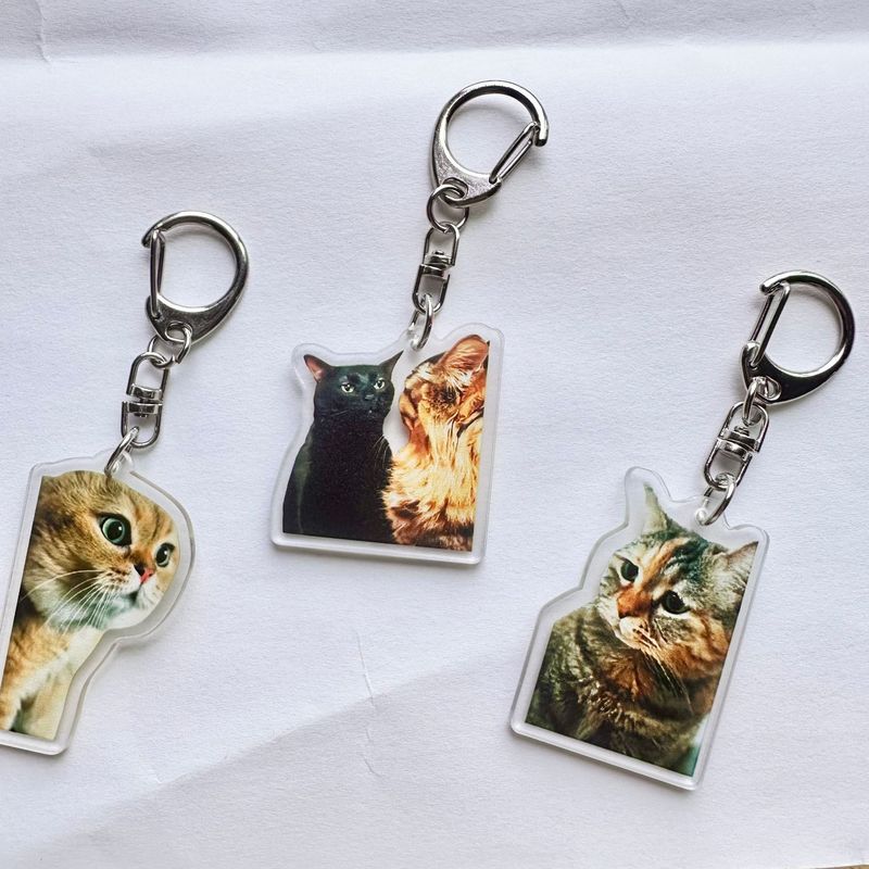 Cute Funny meme Cat Memes Seri - Kids Toys Low Price recensione e prezzo
