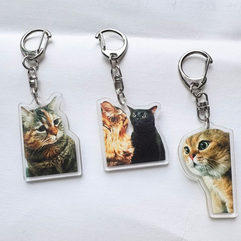 Cute Funny meme Cat Memes Seri - Kids Toys Low Price recensione e prezzo